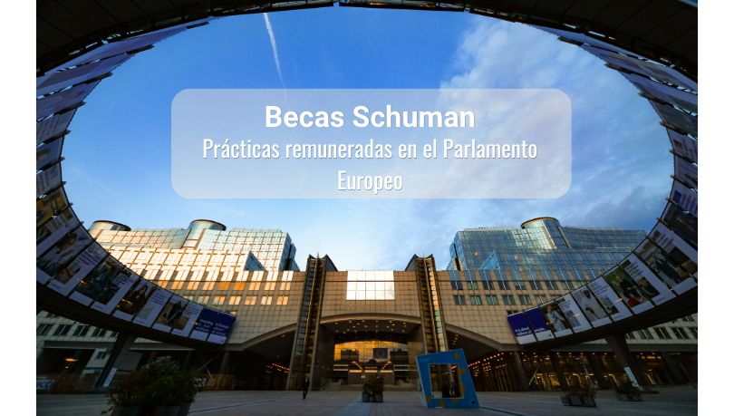 Becas Schuman